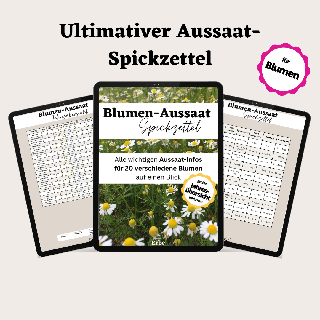 Aussaat-Spickzettel BLUMEN | Aussaat-Infos auf einen Blick + Vorlagen zum selber ausfüllen | PDF