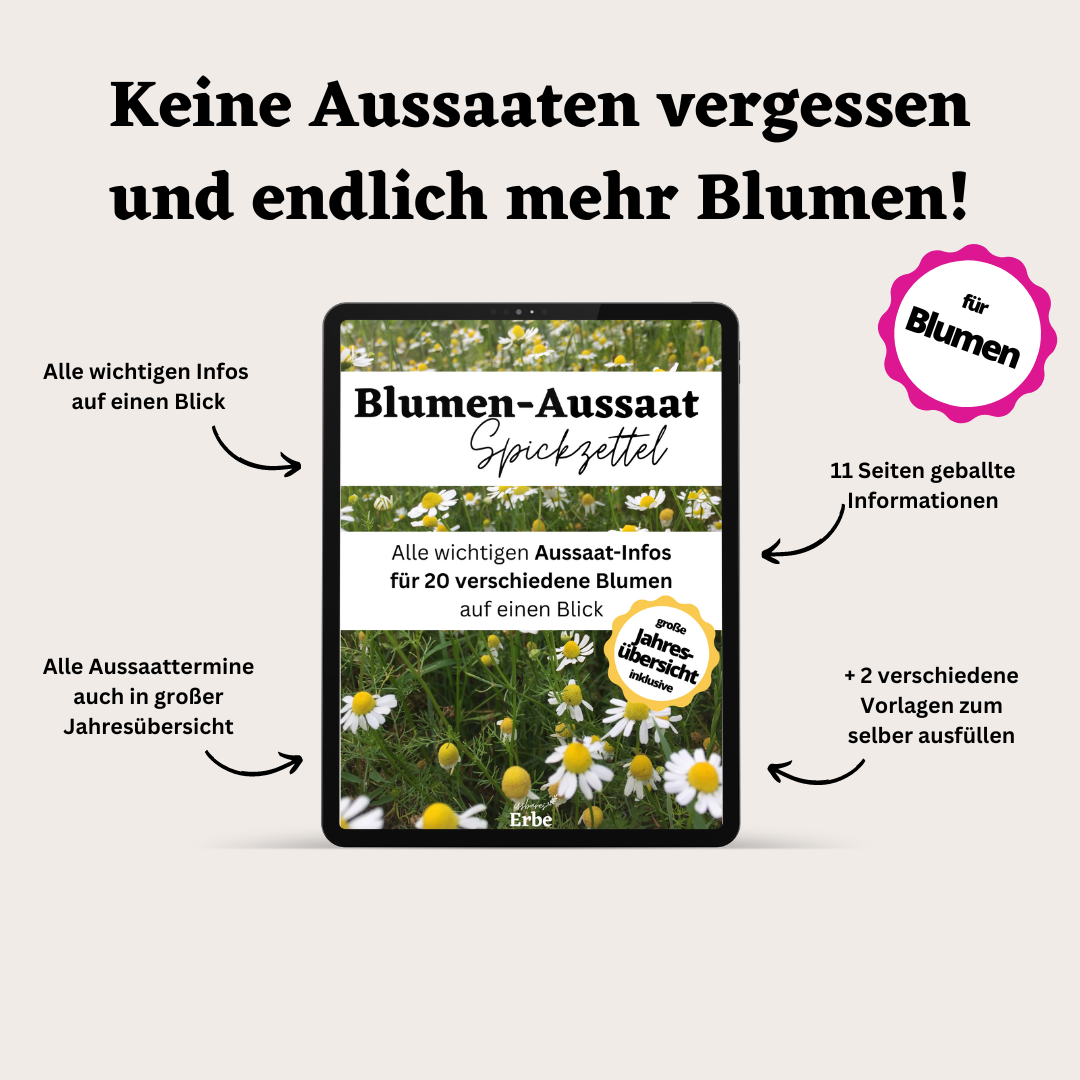 Aussaat-Spickzettel BLUMEN | Aussaat-Infos auf einen Blick + Vorlagen zum selber ausfüllen | PDF