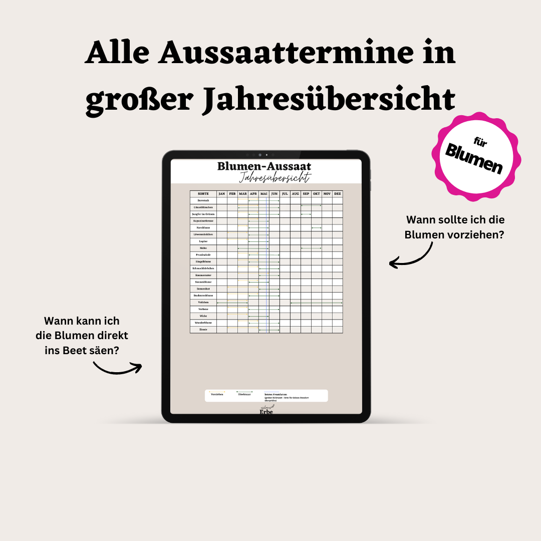 Aussaat-Spickzettel BLUMEN | Aussaat-Infos auf einen Blick + Vorlagen zum selber ausfüllen | PDF