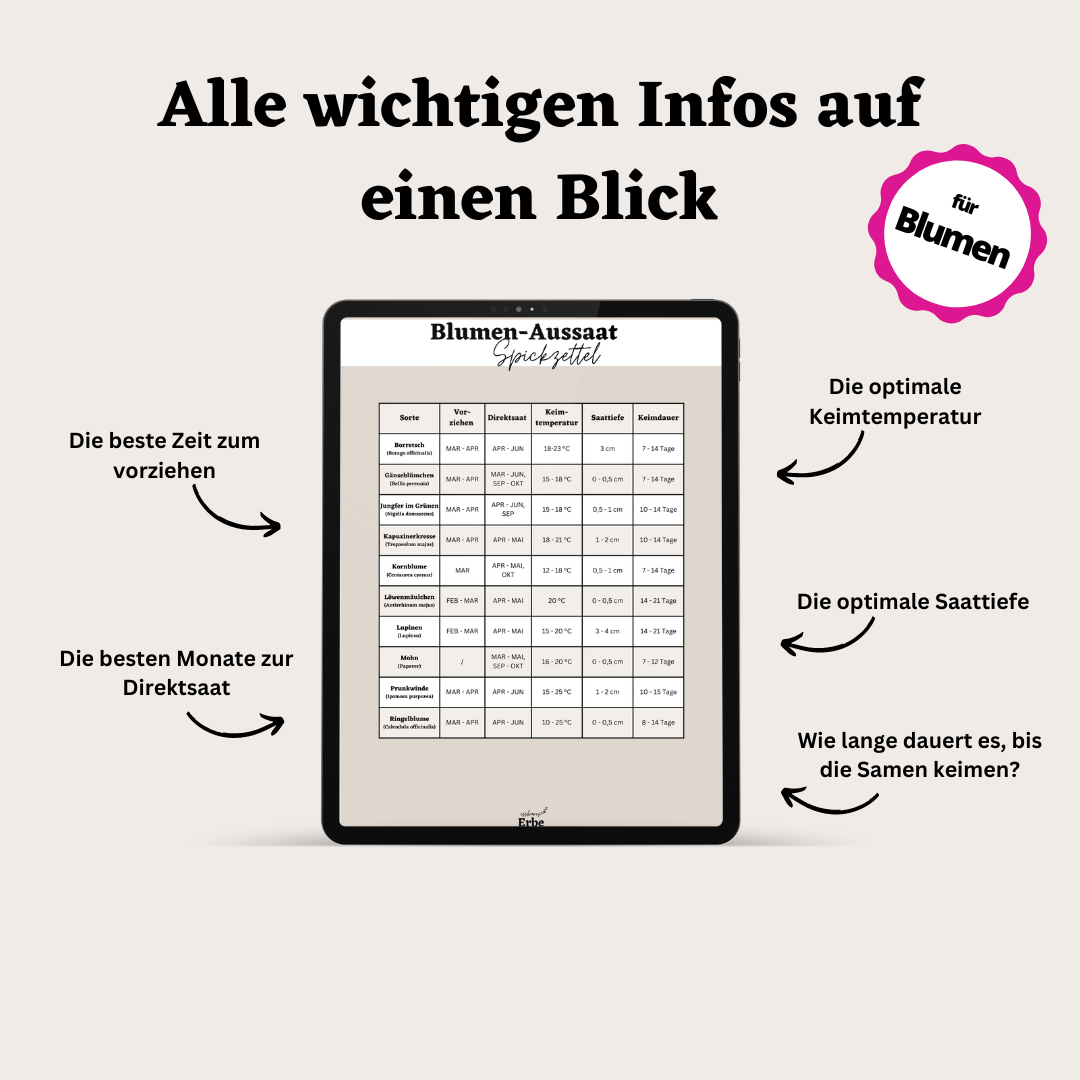 Aussaat-Spickzettel BLUMEN | Aussaat-Infos auf einen Blick + Vorlagen zum selber ausfüllen | PDF