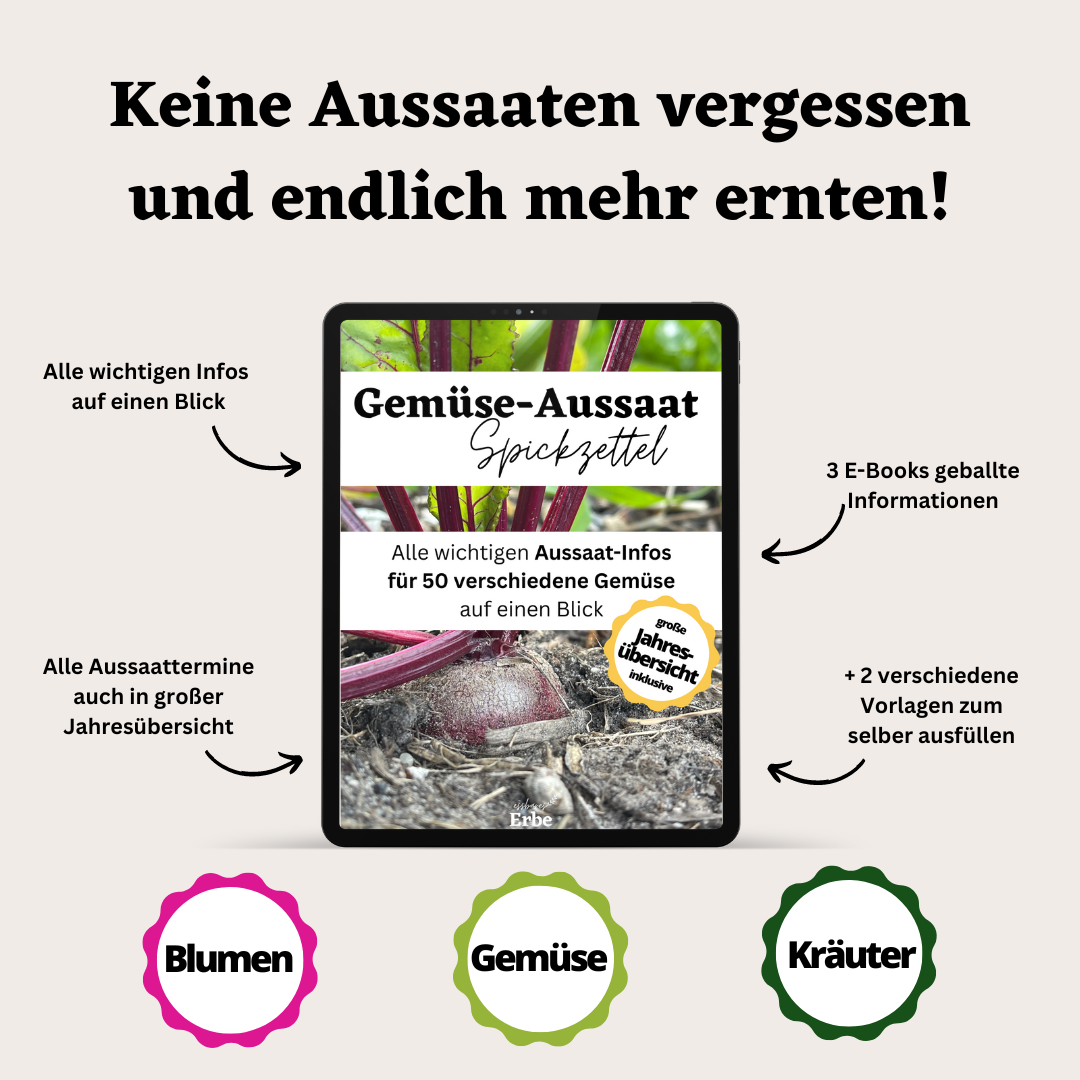 Aussaat-Spickzettel GEMÜSE, KRÄUTER, BLUMEN | Aussaat-Infos auf einen Blick + Vorlagen zum selber ausfüllen | PDF