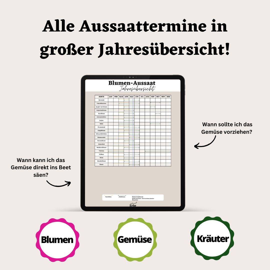 Aussaat-Spickzettel GEMÜSE, KRÄUTER, BLUMEN | Aussaat-Infos auf einen Blick + Vorlagen zum selber ausfüllen | PDF