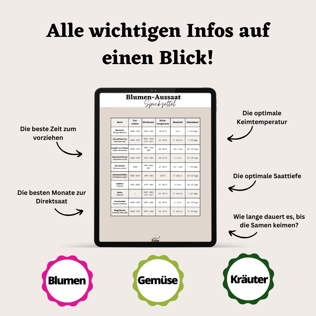 Aussaat-Spickzettel GEMÜSE, KRÄUTER, BLUMEN | Aussaat-Infos auf einen Blick + Vorlagen zum selber ausfüllen | PDF