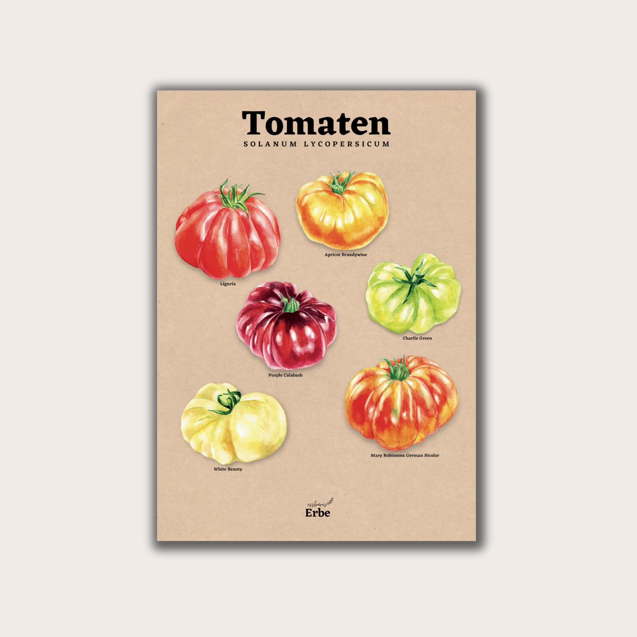 Fleischtomaten Vintage Poster