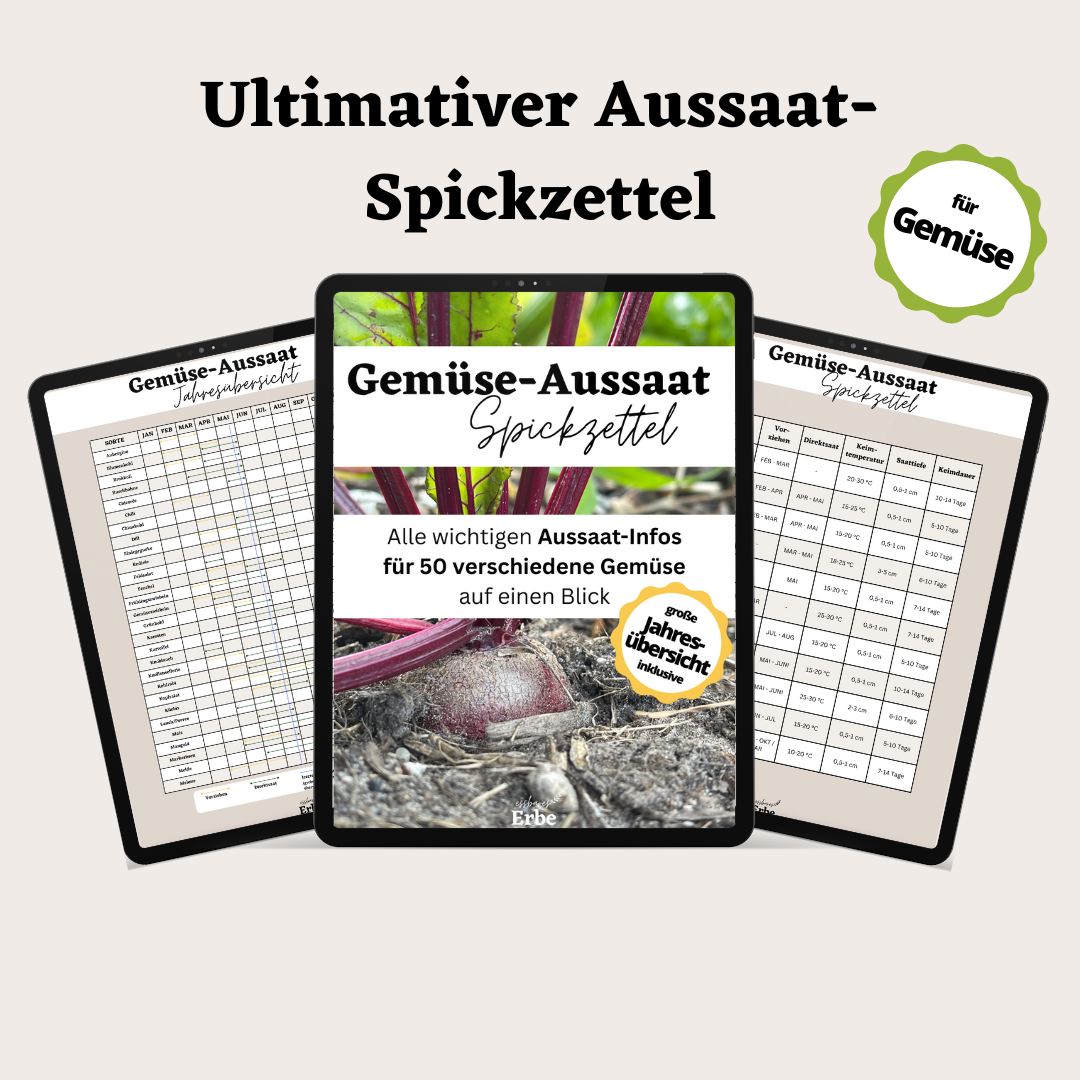 Aussaat-Spickzettel GEMÜSE | Aussaat-Infos auf einen Blick + Vorlagen zum selber ausfüllen | PDF