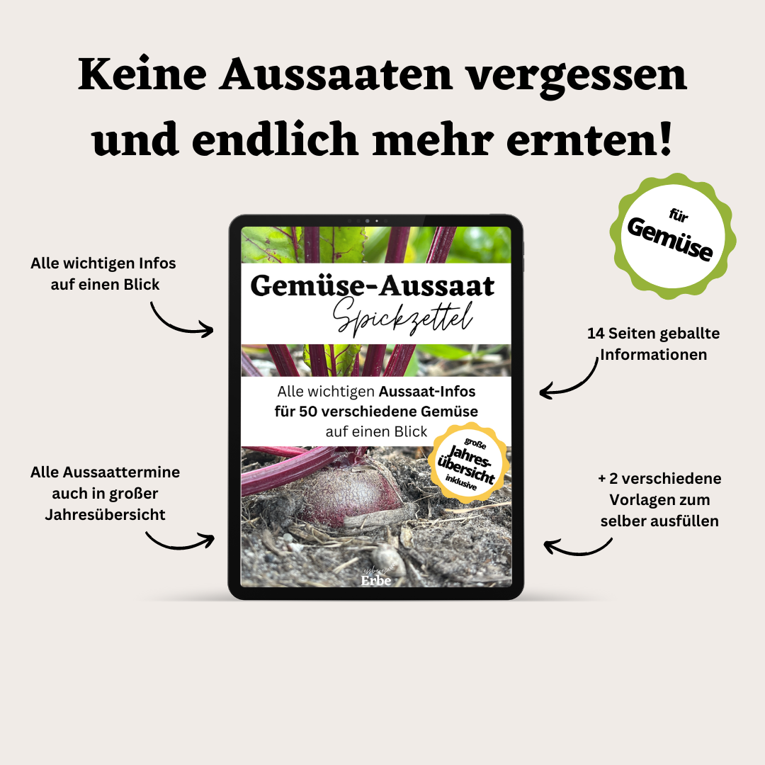 Aussaat-Spickzettel GEMÜSE | Aussaat-Infos auf einen Blick + Vorlagen zum selber ausfüllen | PDF