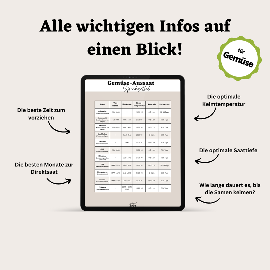 Aussaat-Spickzettel GEMÜSE | Aussaat-Infos auf einen Blick + Vorlagen zum selber ausfüllen | PDF