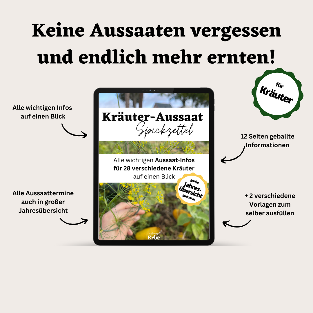 Aussaat-Spickzettel KRÄUTER | Aussaat-Infos auf einen Blick + Vorlagen zum selber ausfüllen | PDF