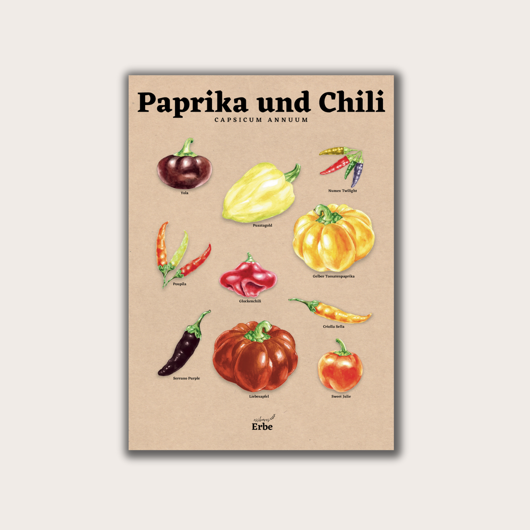 Paprika Chili Vintage Poster