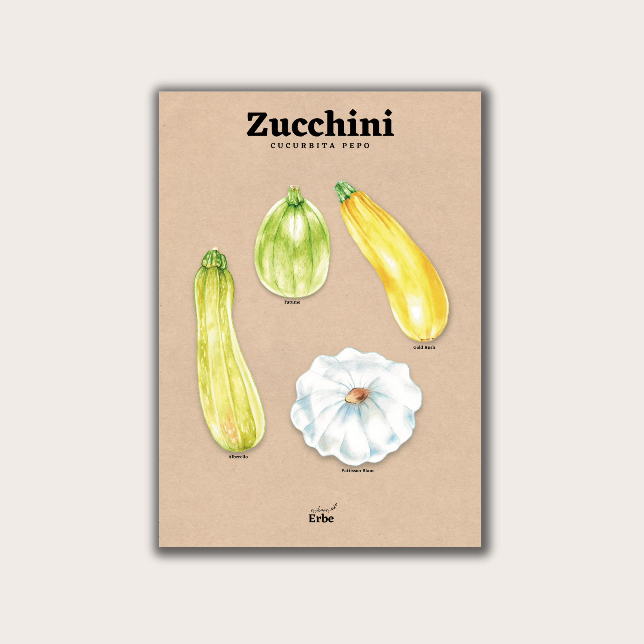 Zucchini Vintage Poster