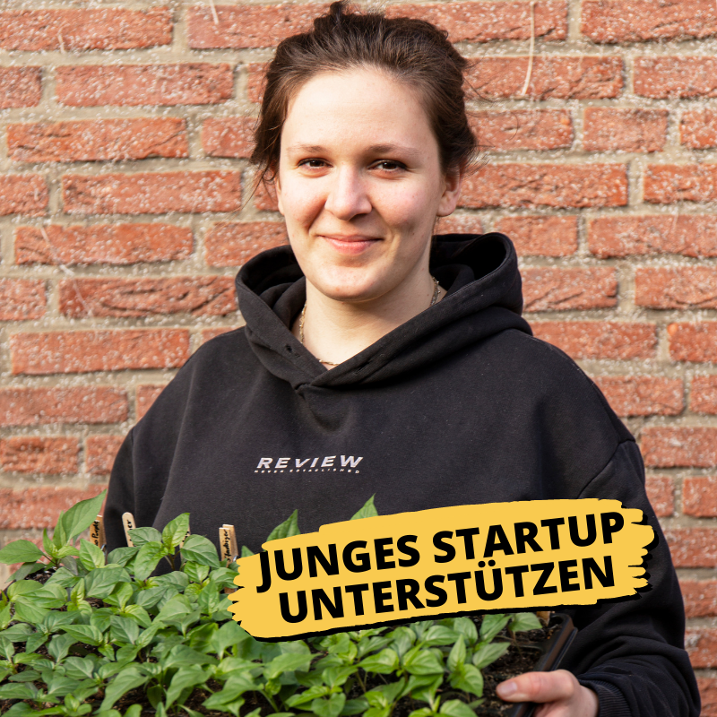 Gemüsegarten Starterset | 6 Gemüsepflanzen