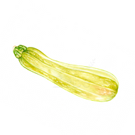 NEU! Alberello | Zucchinipflanze