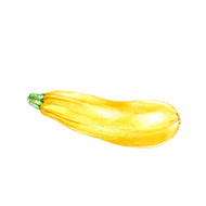 Gold Rush | Zucchinipflanze