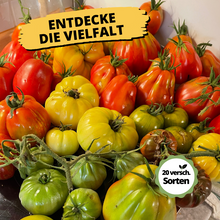 Lade das Bild in den Galerie-Viewer, Tomatenset verschiedene Sorten | 6 Gemüsepflanzen
